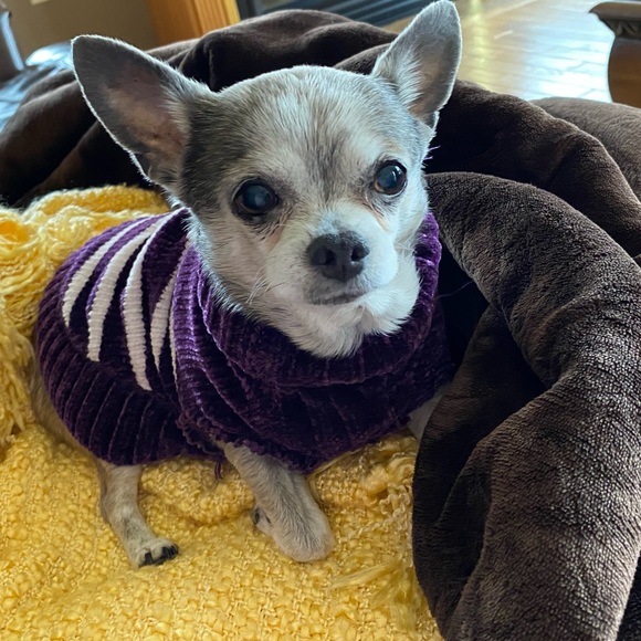 🌹💗🌷♥️🌸💋👄 - Picture 2 of 3